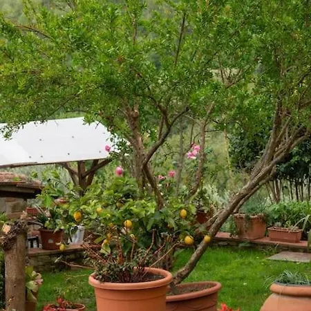 Il Piccolo Eden
