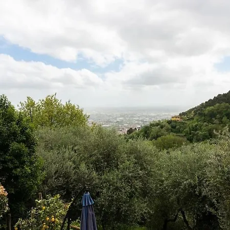 Il Piccolo Eden *